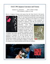EALC 398 Flyer